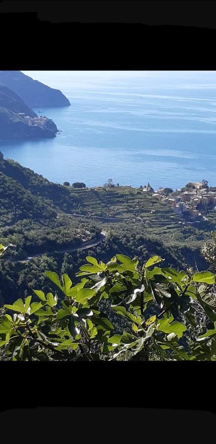 Residenza Solferino Διαμέρισμα Corniglia Εξωτερικό φωτογραφία